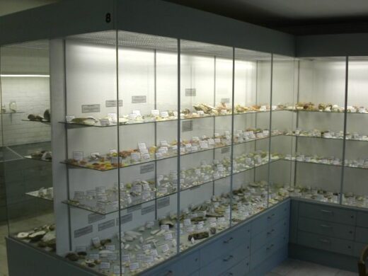 Vitrine in Schelpenmuseum Paal 14 op Schiermonnikoog (archieffoto).